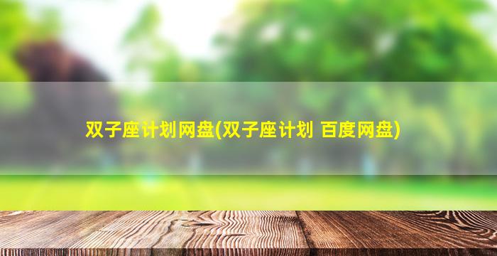 双子座计划网盘(双子座计划 百度网盘)